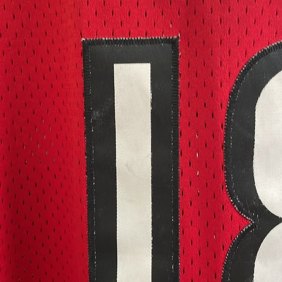 Raptors - NBA Basketball Adidas Jersey - Parker  18 - Red- Large +2 Length - Picture 13 of 16